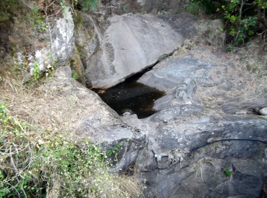 Ululone appenninico...una siccit da sfruttare